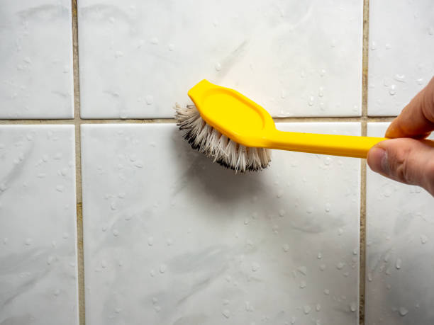Best Bathroom Mold Remediation in Ludington, MI