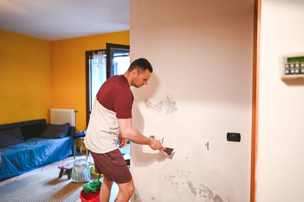 Best Residential Mold Remediation in Ludington, MI